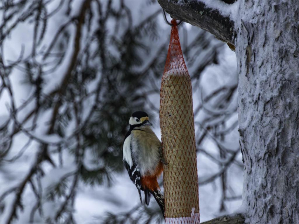 20260114-3L9A9342-CR3_DxO_DeepPRIME