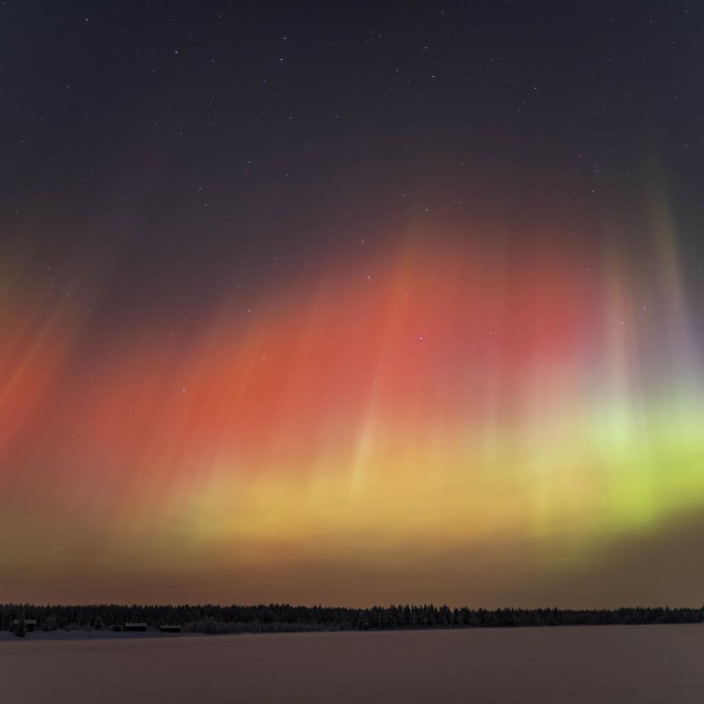 20260119-DSCF2038-RAF_DxO_DeepPRIME