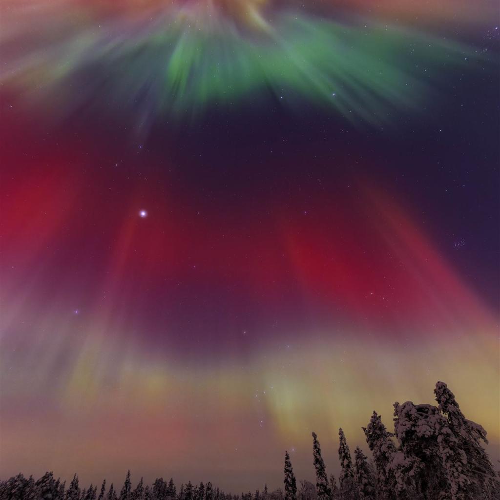 20260120-3L9A0724-CR3_DxO_DeepPRIME