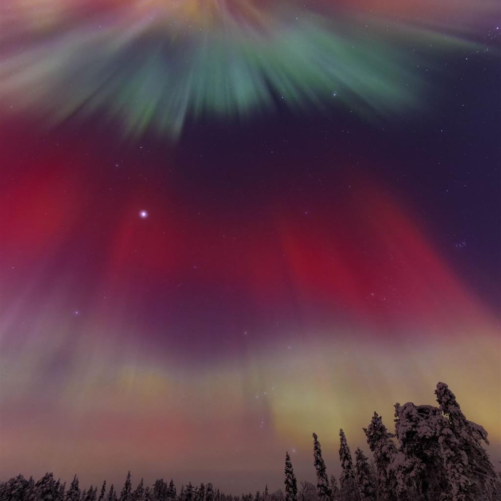 20260120-3L9A0725-CR3_DxO_DeepPRIME