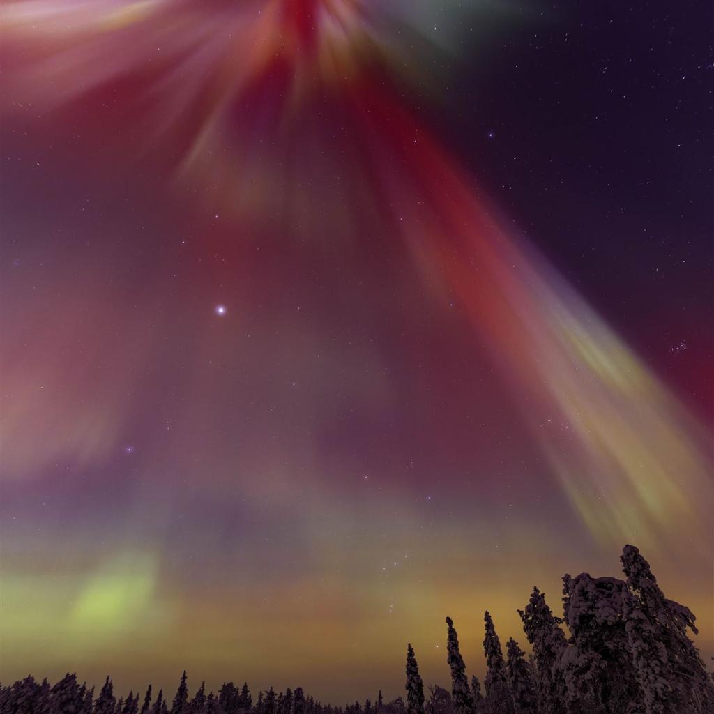 20260120-3L9A0789-CR3_DxO_DeepPRIME