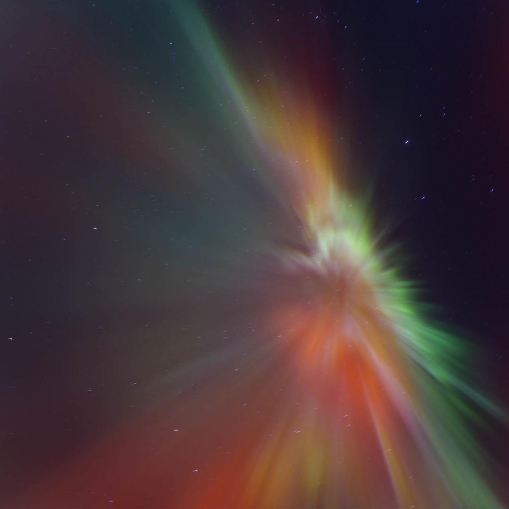 20260120-DSCF2142-RAF_DxO_DeepPRIME