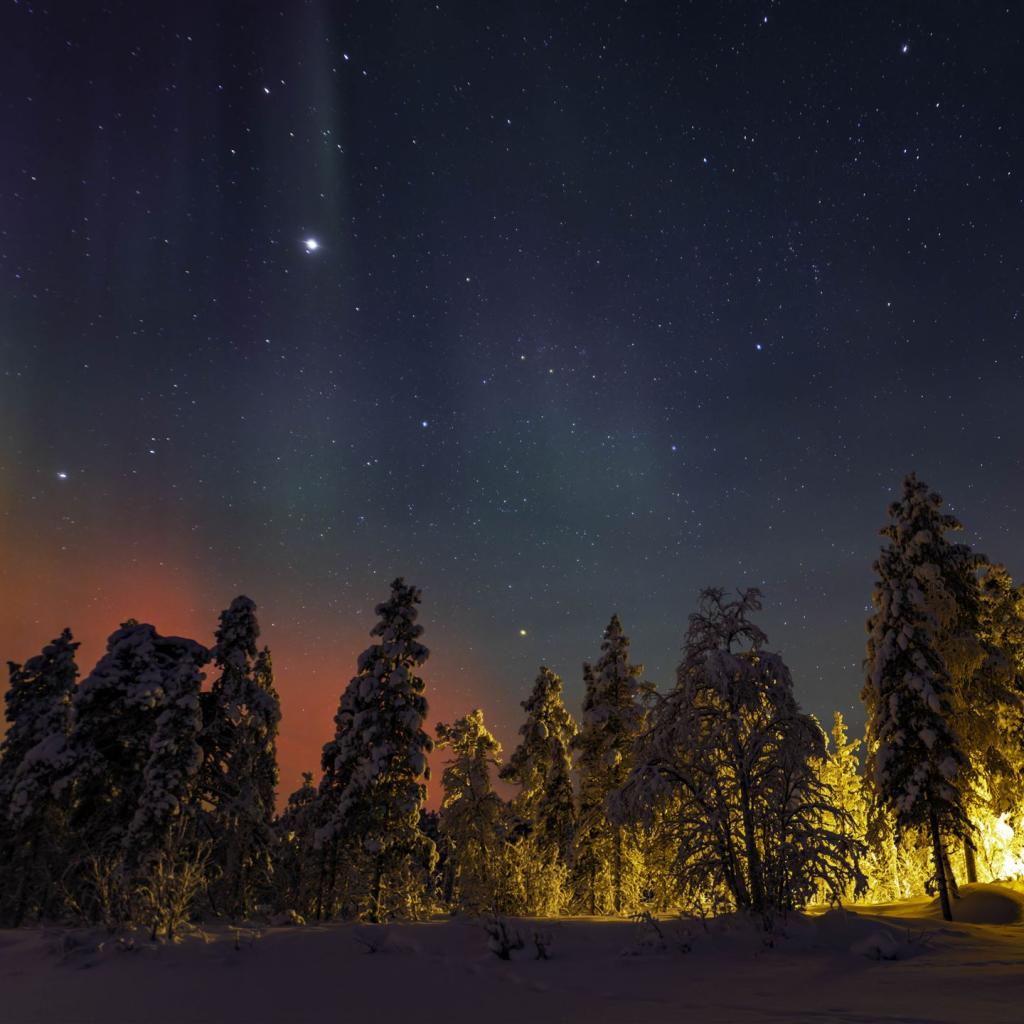 20260120-DSCF3492-RAF_DxO_DeepPRIME