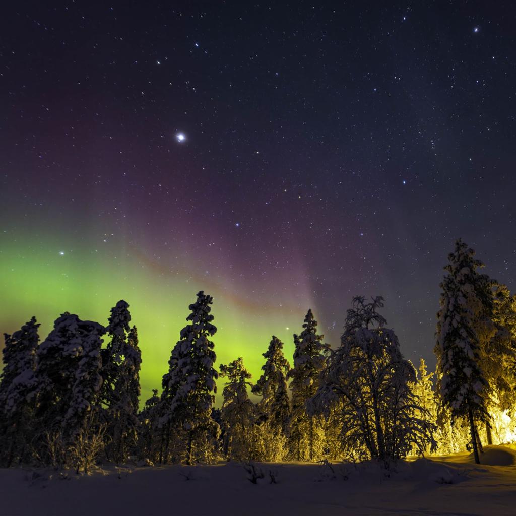 20260120-DSCF3598-RAF_DxO_DeepPRIME