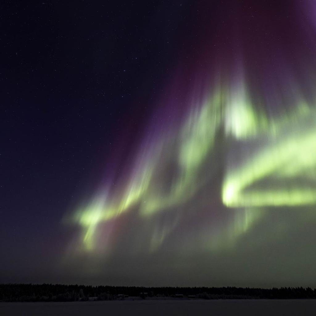 20260111-3L9A6794-CR3_DxO_DeepPRIME