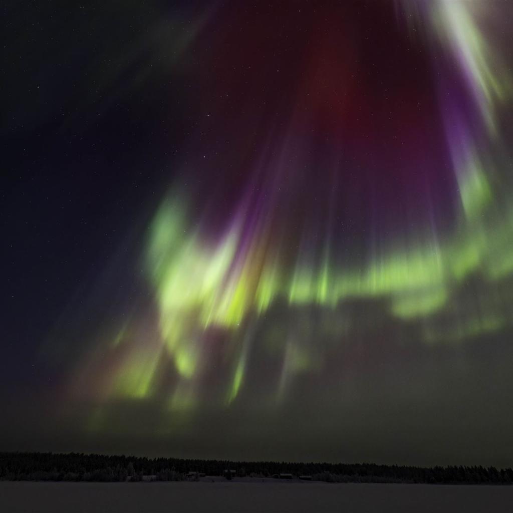 20260111-3L9A6807-CR3_DxO_DeepPRIME