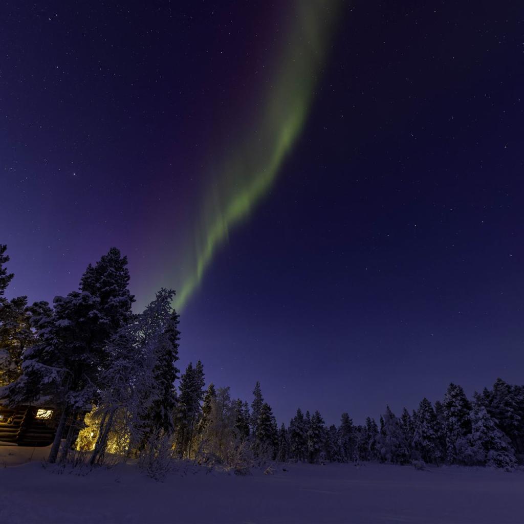 20260111-3L9A7694-CR3_DxO_DeepPRIME