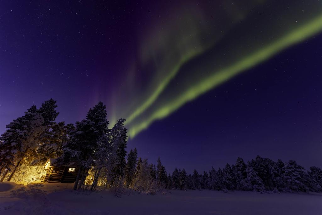 20260111-3L9A7765-CR3_DxO_DeepPRIME