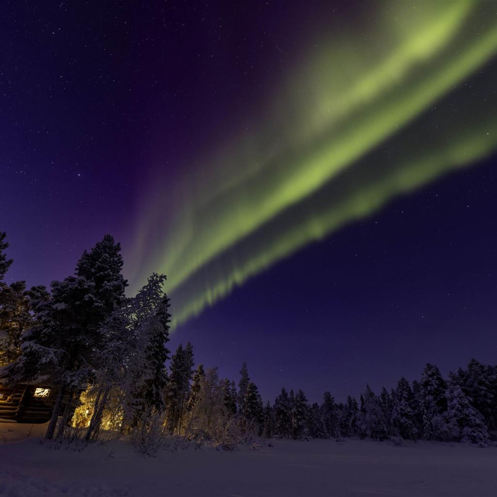 20260111-3L9A7775-CR3_DxO_DeepPRIME