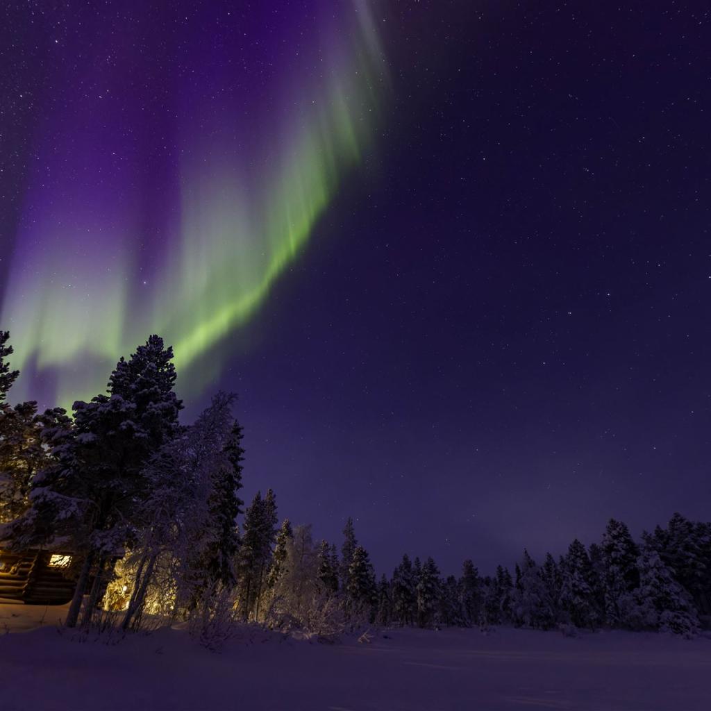 20260111-3L9A7984-CR3_DxO_DeepPRIME