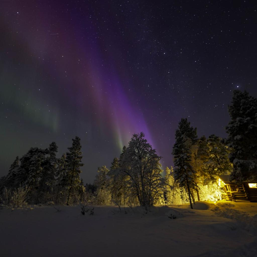 20260111-3L9A8354-CR3_DxO_DeepPRIME