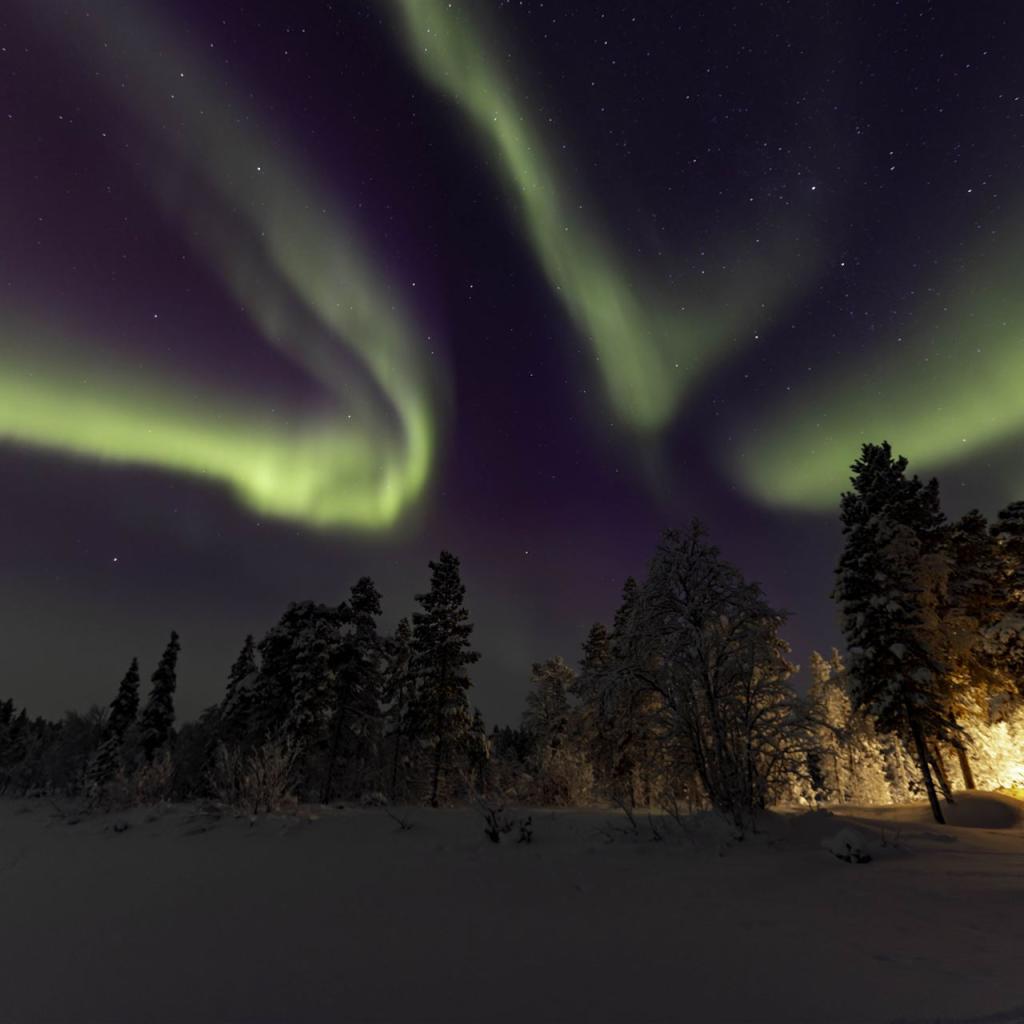 20260111-3L9A8498-CR3_DxO_DeepPRIME