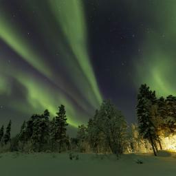 20260111-3L9A8530-CR3_DxO_DeepPRIME