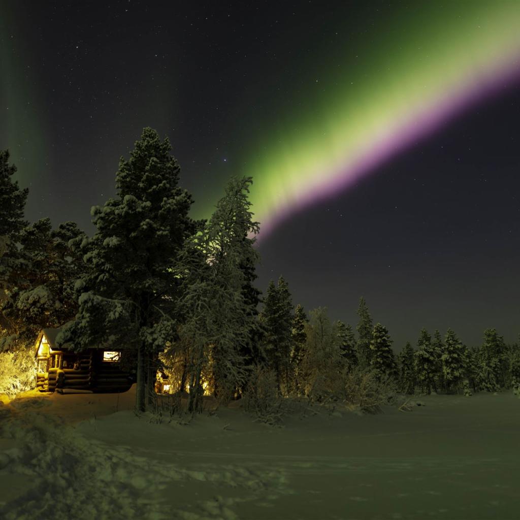 20260111-DSR_1564-CR2_DxO_DeepPRIME