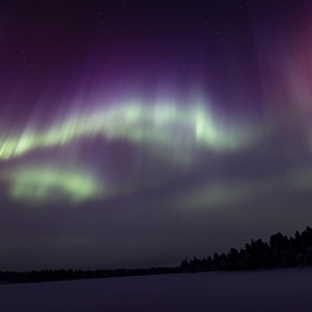 20260111-DSR_7938-CR2_DxO_DeepPRIME