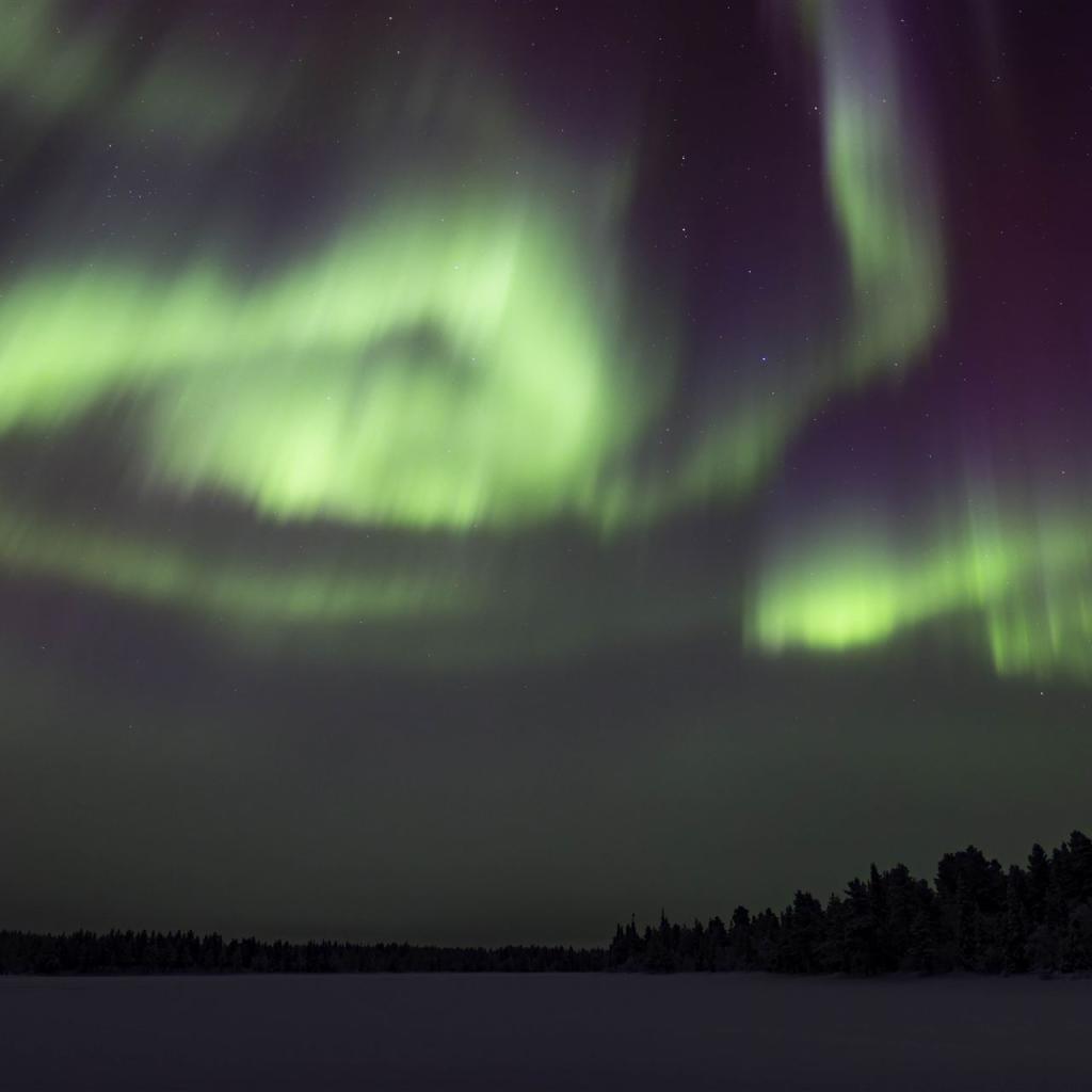 20260111-DSR_7983-CR2_DxO_DeepPRIME