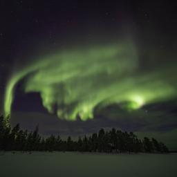 20250227-DSCF3620-RAF_DxO_DeepPRIME