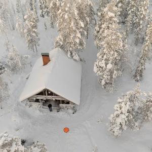 DJI_0208-DNG_DxO_DeepPRIME