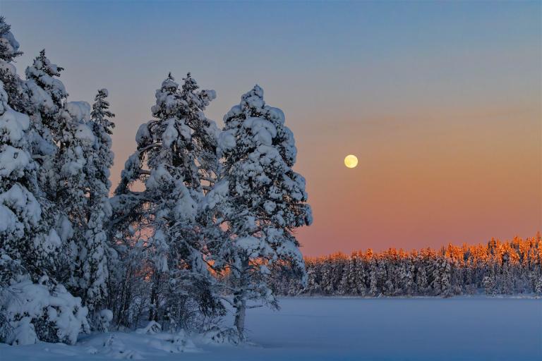 25. Januar 2024-3L9A8369-CR3_DxO_DeepPRIME