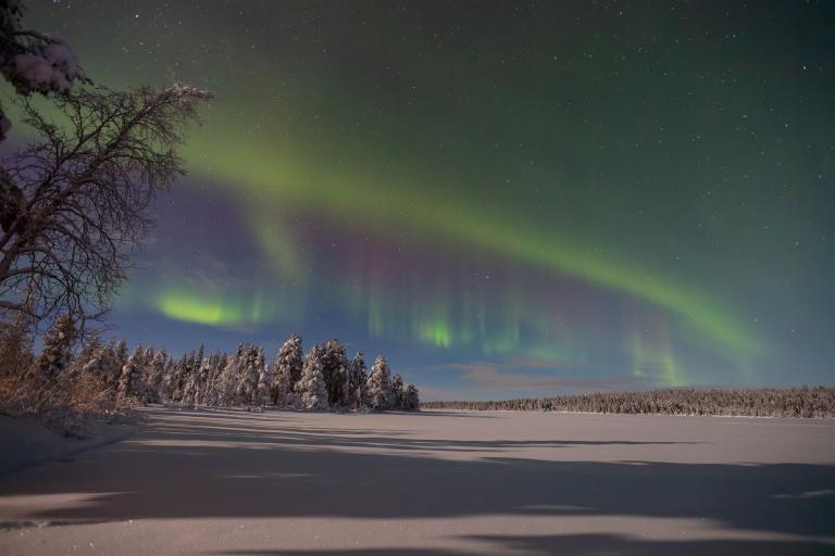 DSR_1198-CR2_DxO_DeepPRIME