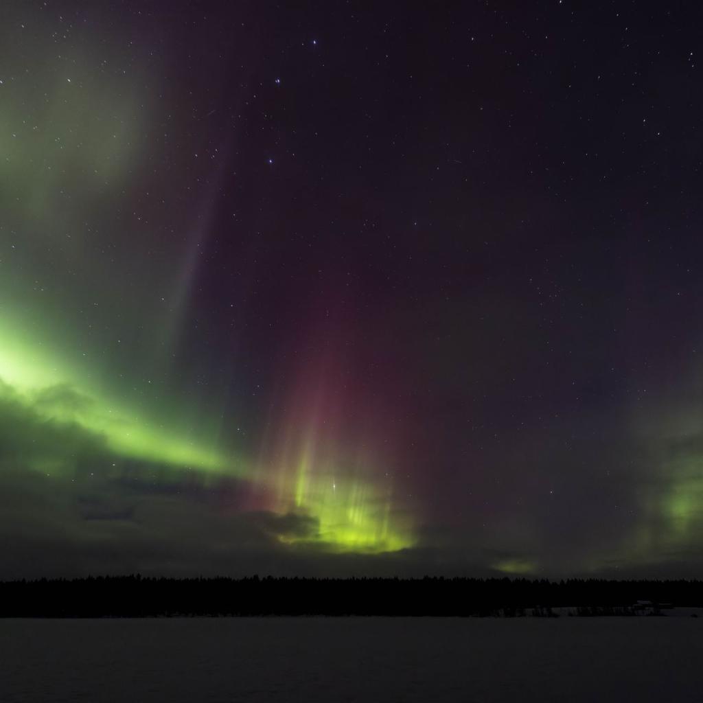 20250227-DSR_7965-CR2_DxO_DeepPRIME