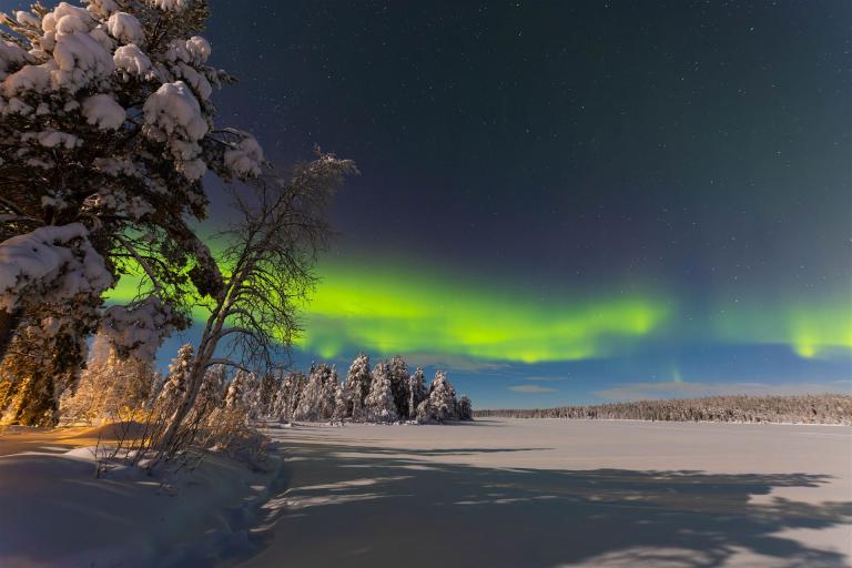 3L9A3457-CR3_DxO_DeepPRIME